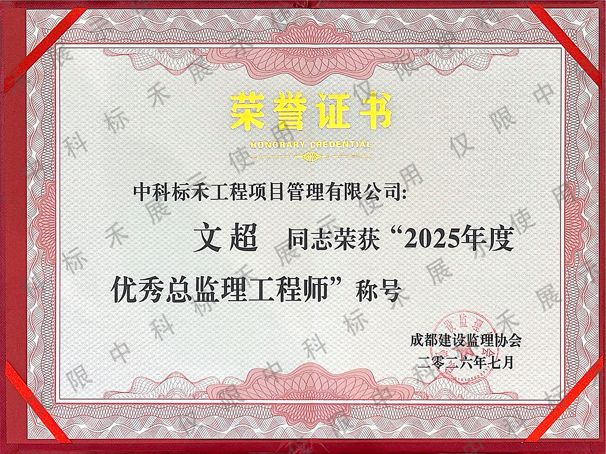 2025年度优秀总监理工程师